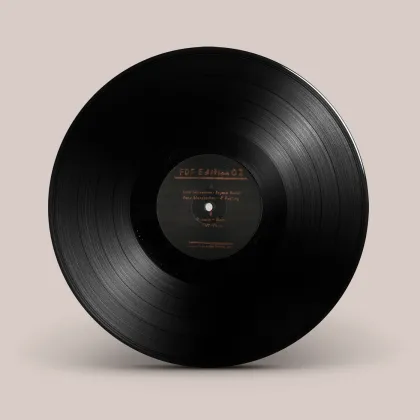 Various – FDF EDITION 02